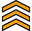 CFS